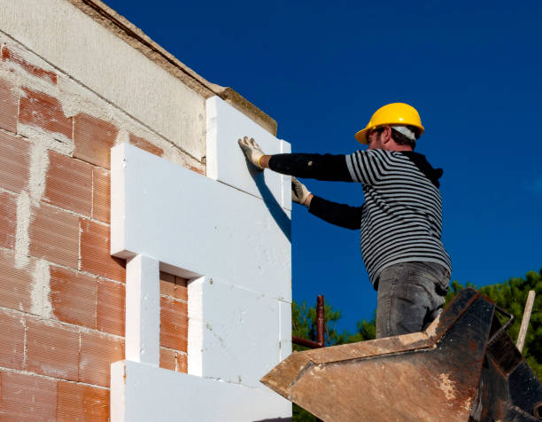 Best Insulation Installation Services in West Pleasant View, CO