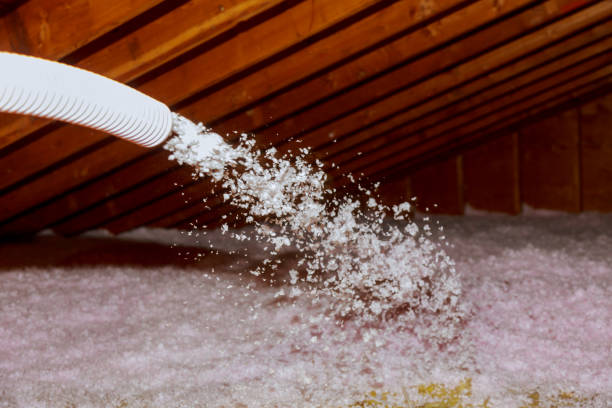 Best Types of Insulation in West Pleasant View, CO