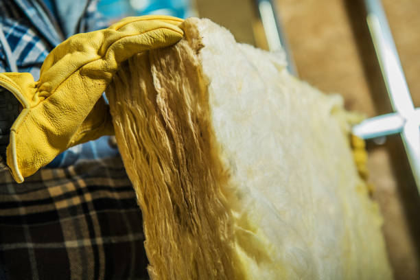 Best Insulation Installation Services in West Pleasant View, CO