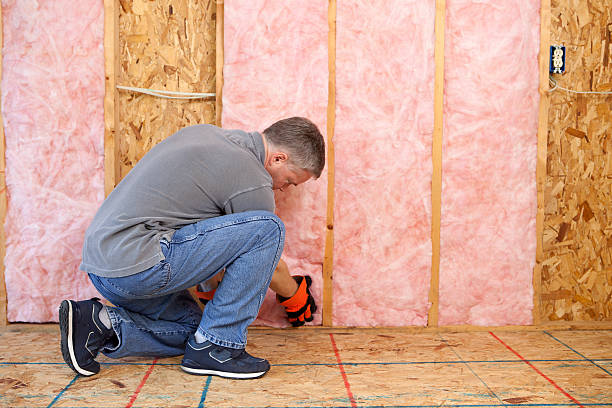 Best Insulation for Specific Applications in West Pleasant View, CO