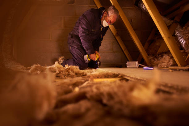 Best Types of Insulation in West Pleasant View, CO